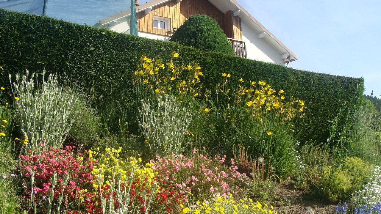 Photo of Outdoor in Gerardmer