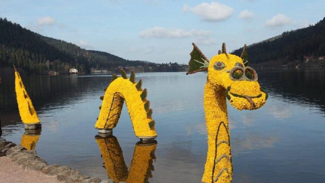 Photo of Others in Gerardmer