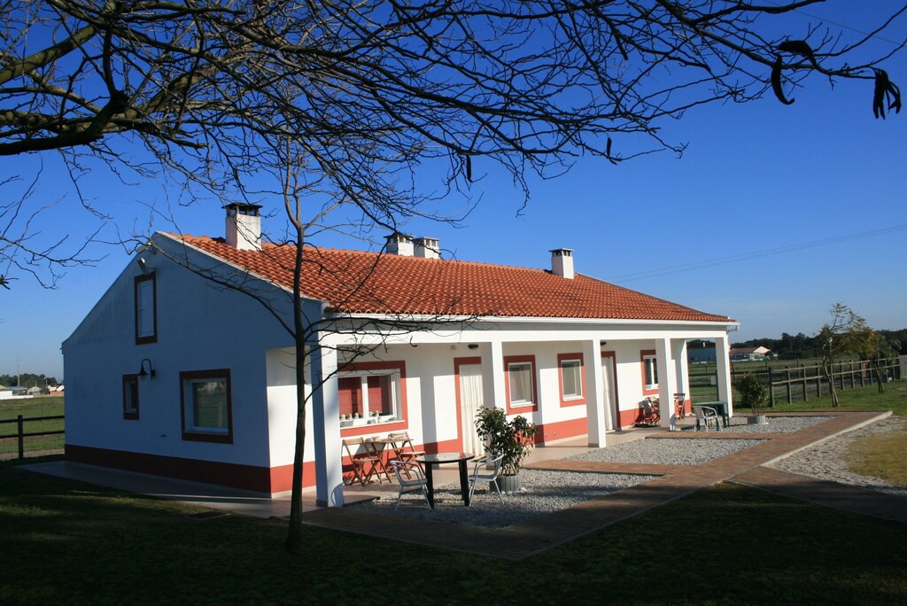 Photo of Others in Palhais