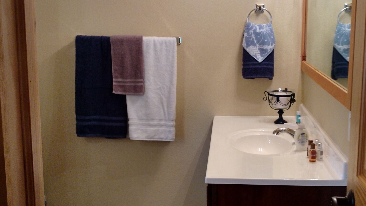 Photo of Bathroom in Golconda