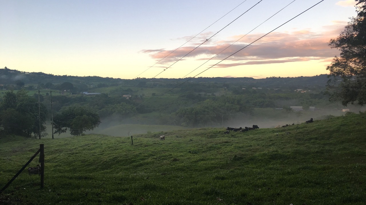 Photo of Outdoor in Angeles