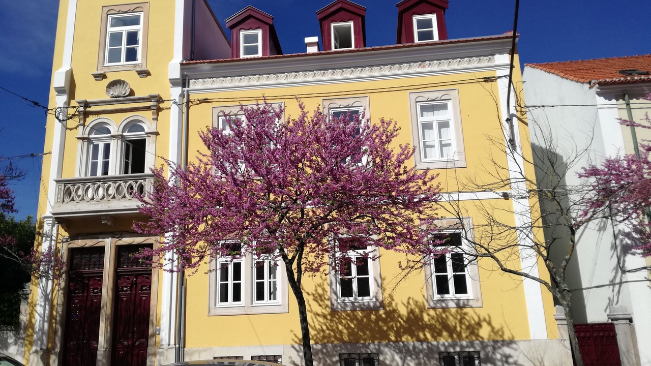 Photo of Outdoor in Se Nova