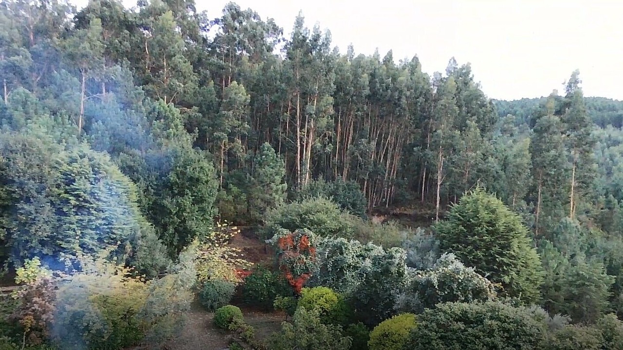 Photo of Outdoor in Cossourado