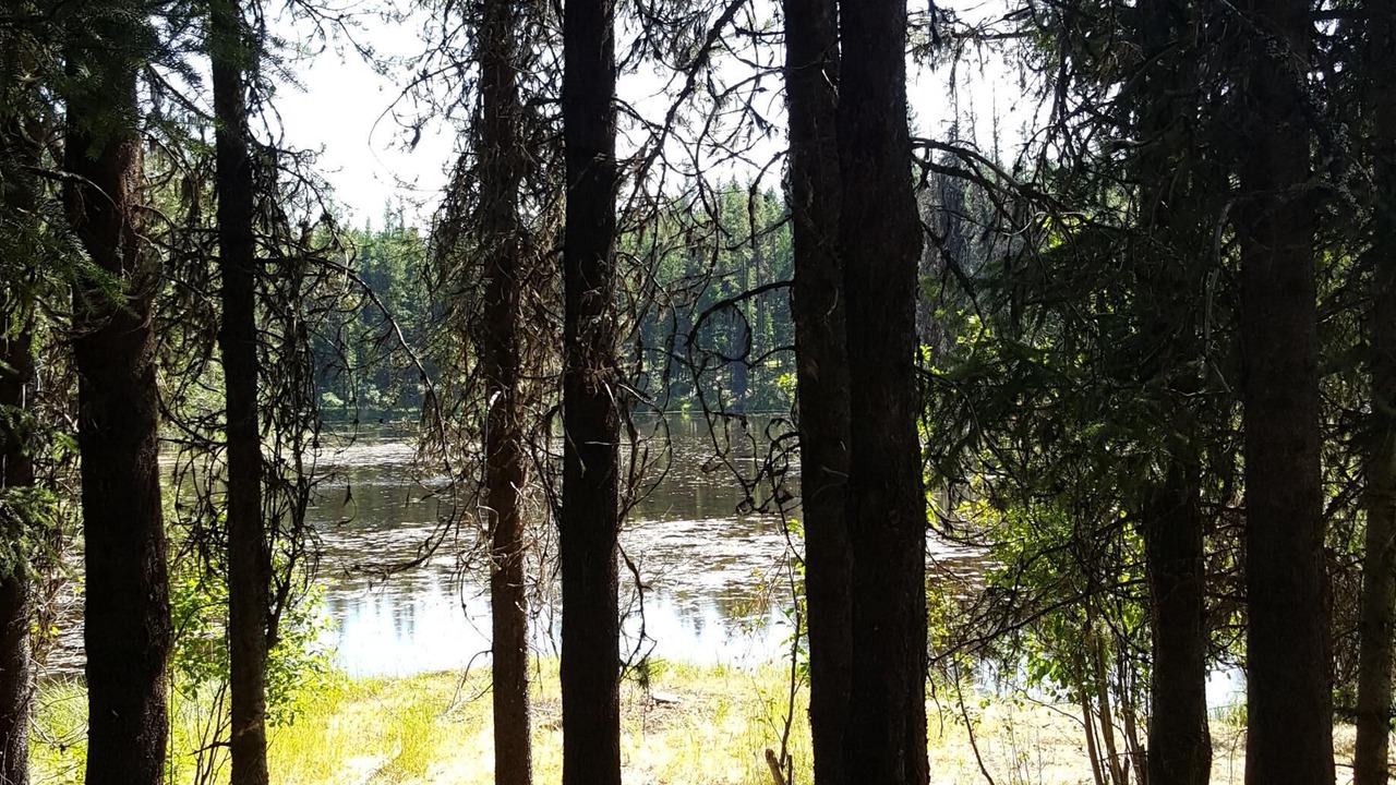 Photo of Outdoor in Condon