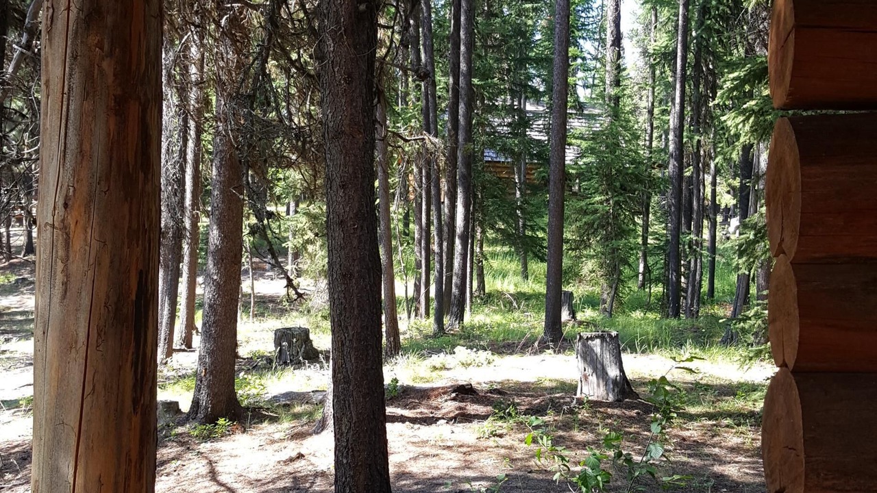 Photo of Outdoor in Condon