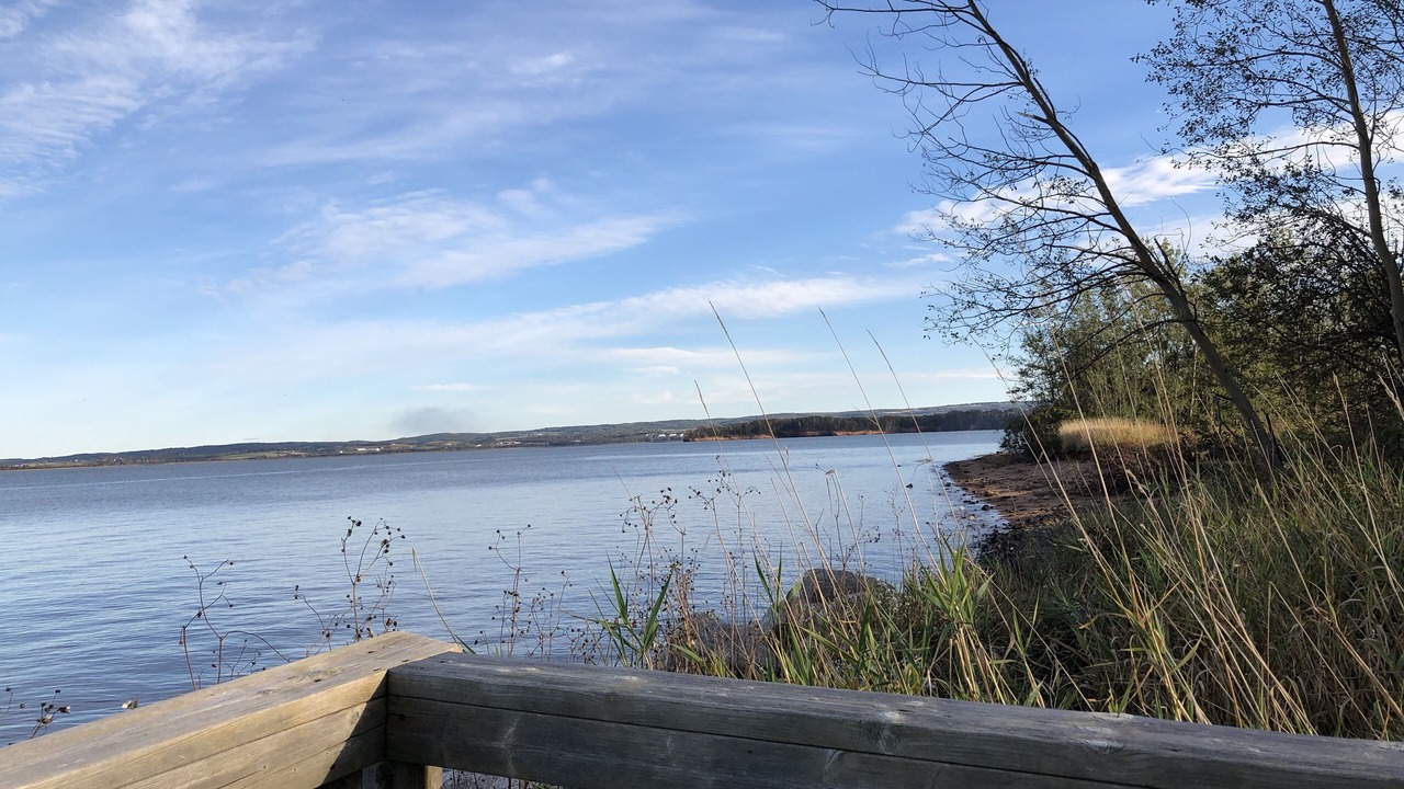 Photo of Others in Newport Landing