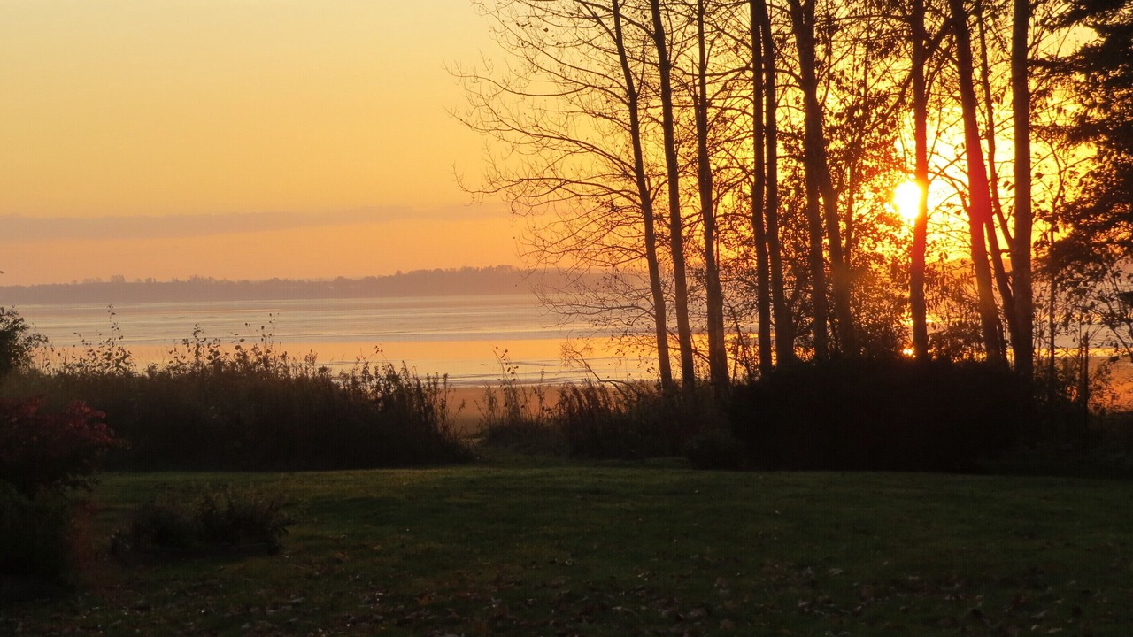 Photo of Outdoor in Newport Landing