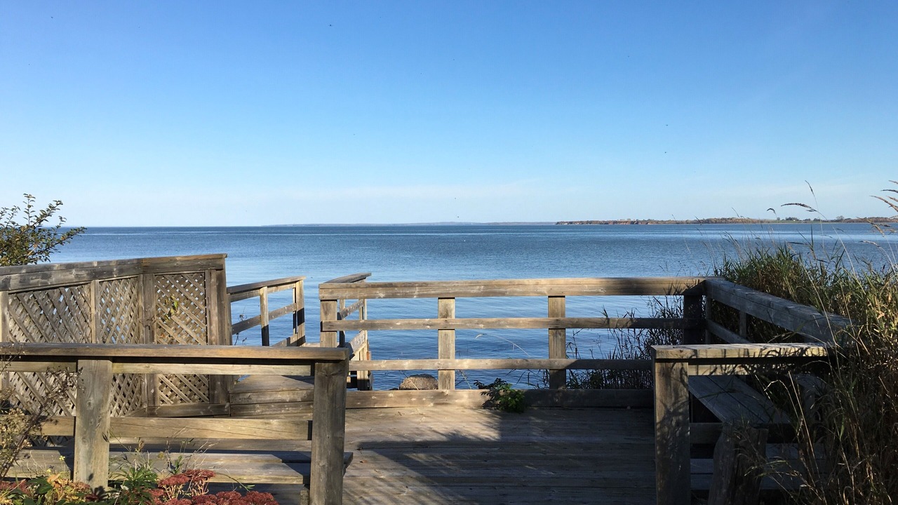 Photo of Others in Newport Landing