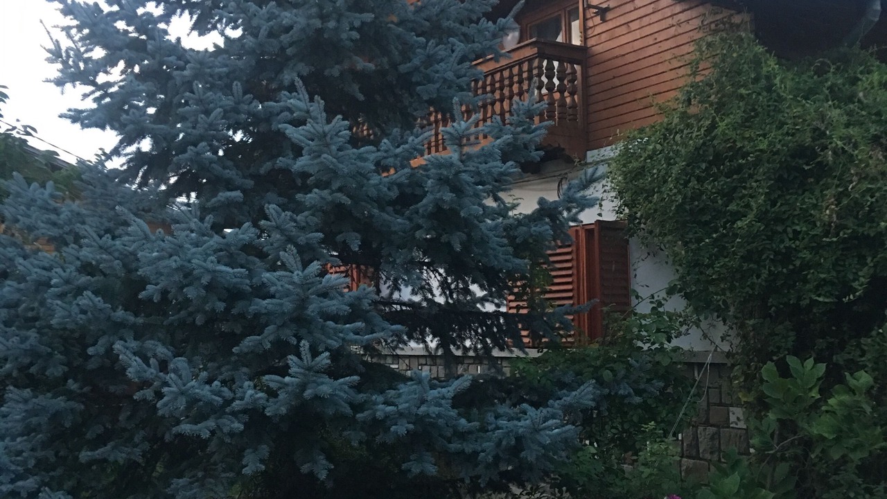 Photo of Outdoor in Ploiesti