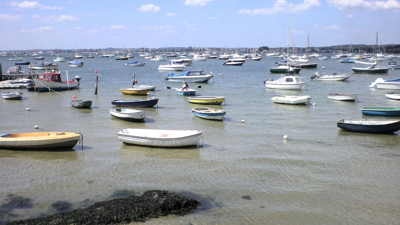 Photo of Others in Sandbanks