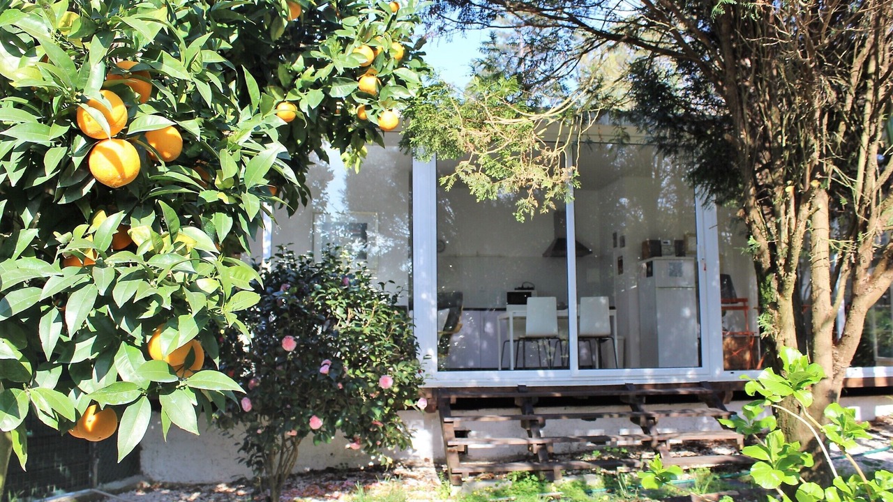 Photo of Outdoor in Cacia