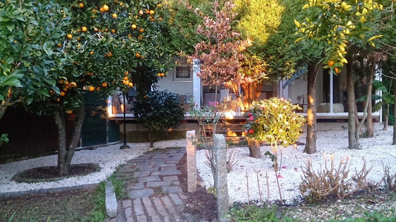 Photo of Outdoor in Cacia
