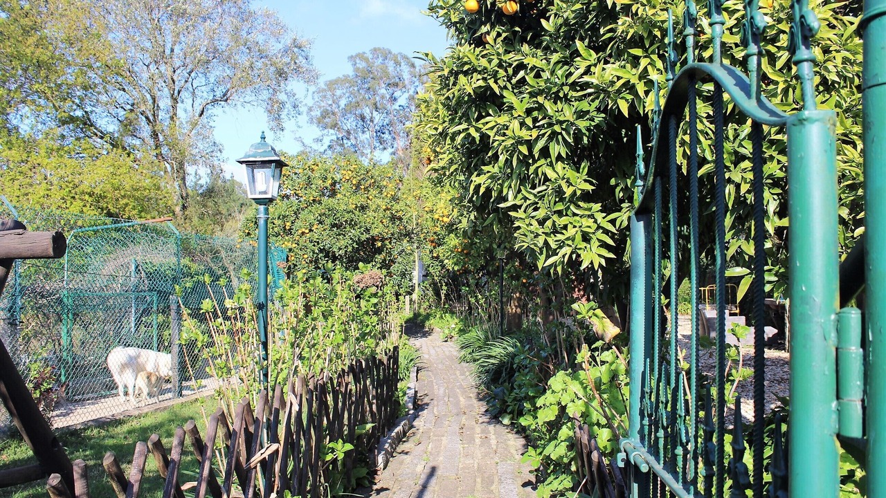 Photo of Outdoor in Cacia