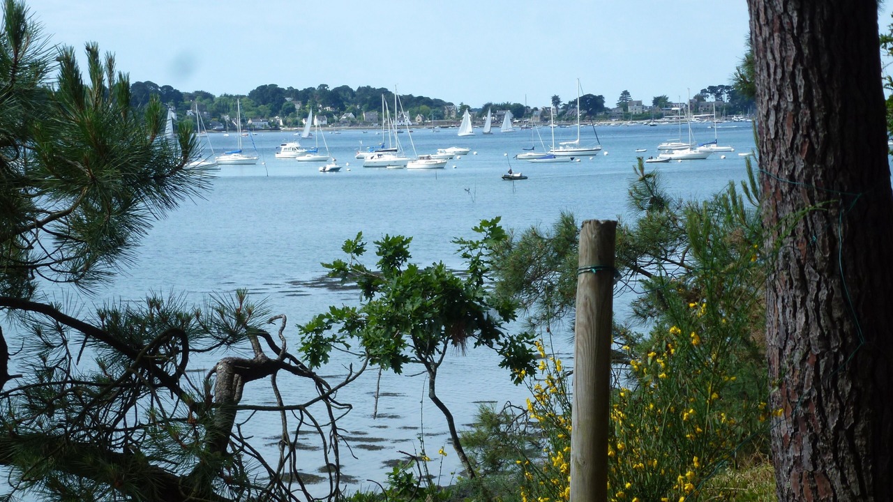 Photo of Others in Vannes