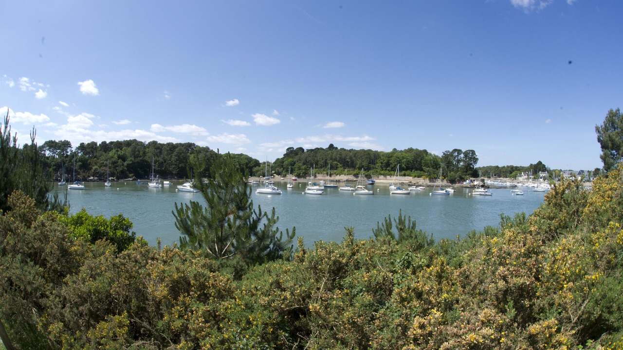 Photo of Others in Vannes