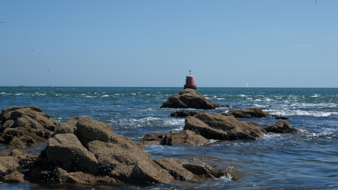 Photo of Others in Vannes