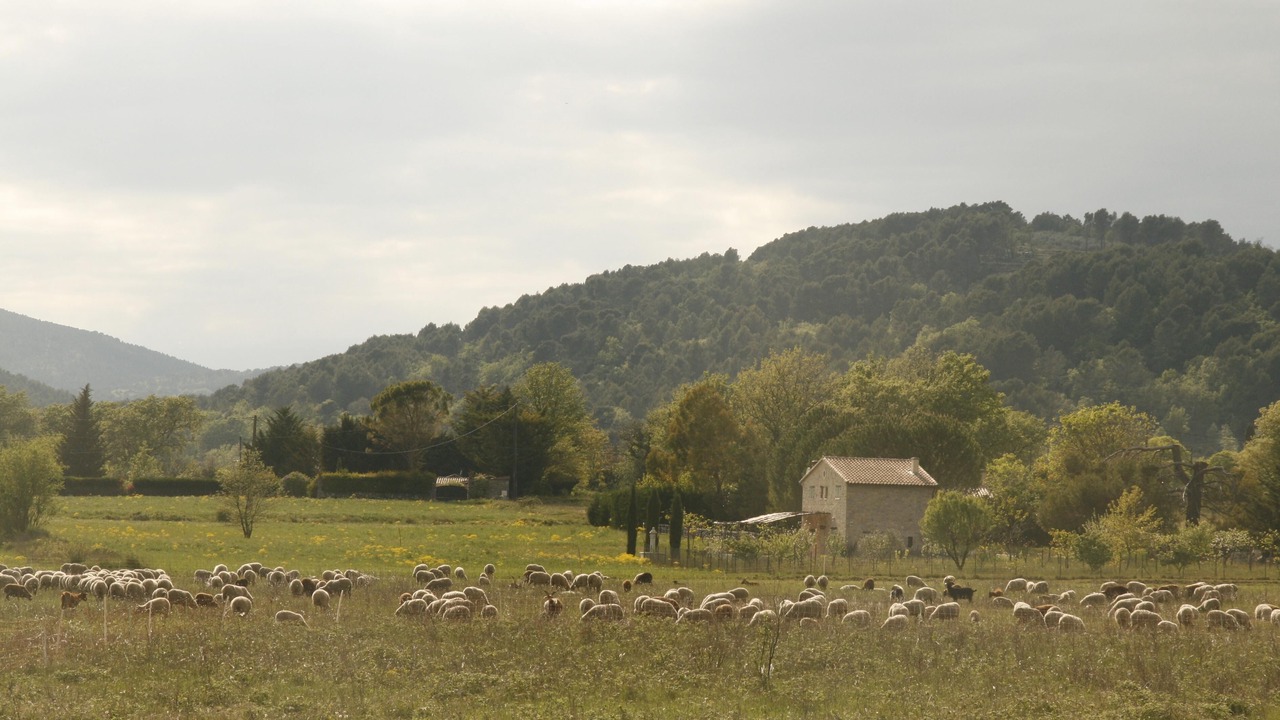 Photo of Outdoor in Callas