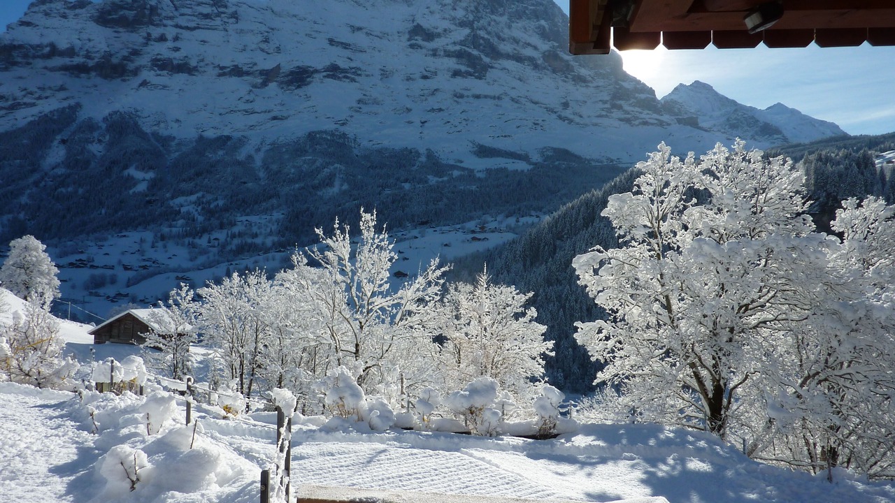 Photo of Others in Grindelwald