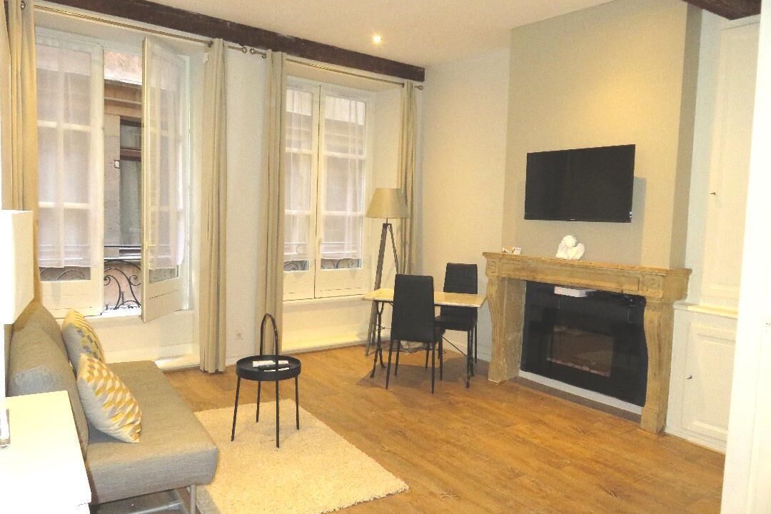 Photo of Livingroom in Old Lyon