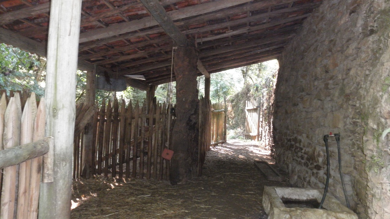 Photo of Outdoor in Figueiro dos Vinhos
