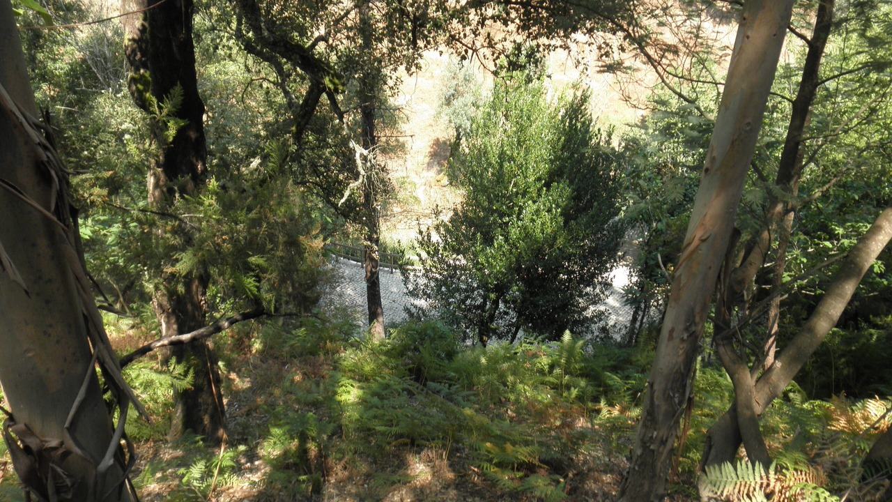 Photo of Outdoor in Figueiro dos Vinhos