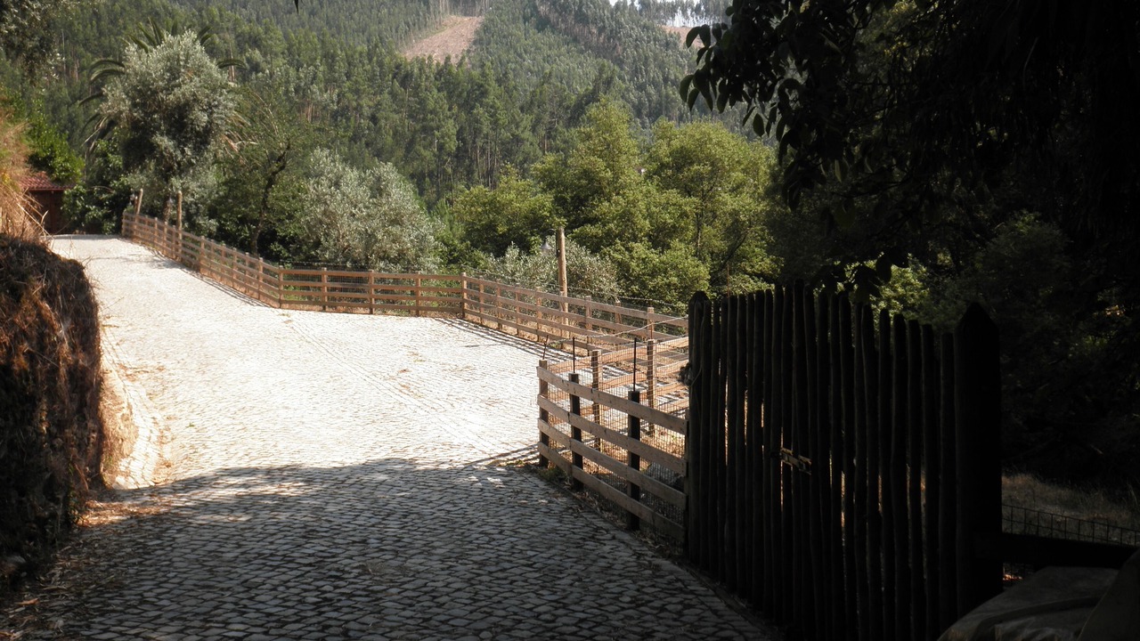 Photo of Outdoor in Figueiro dos Vinhos