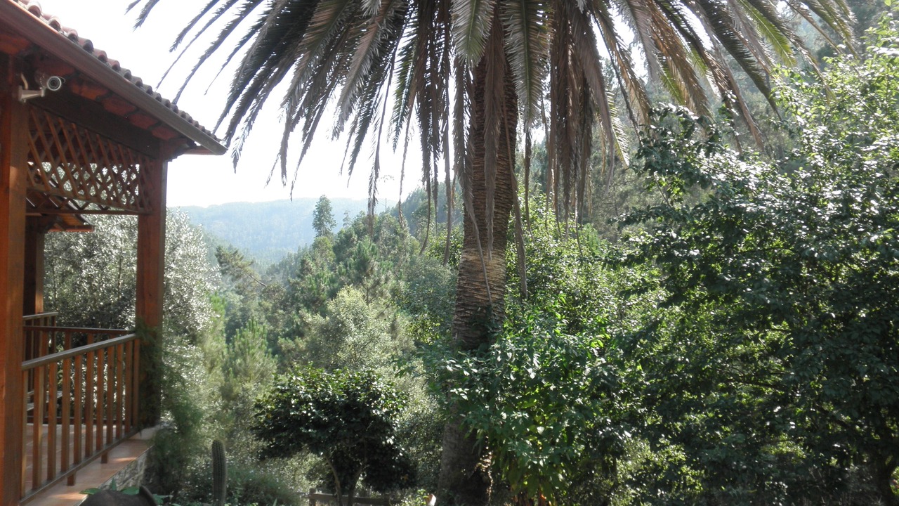 Photo of Outdoor in Figueiro dos Vinhos