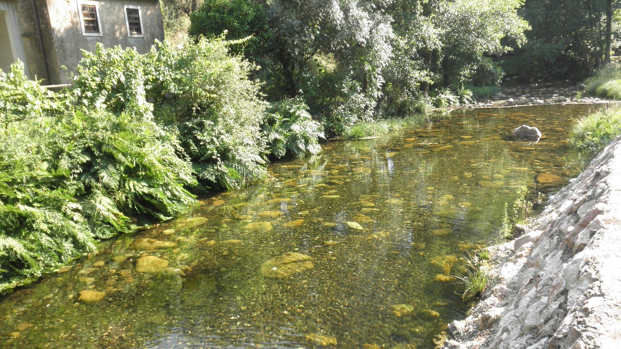 Photo of Outdoor in Figueiro dos Vinhos