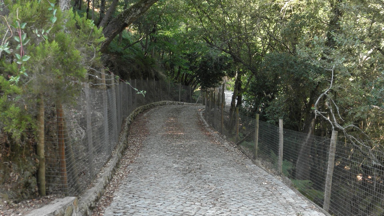 Photo of Outdoor in Figueiro dos Vinhos