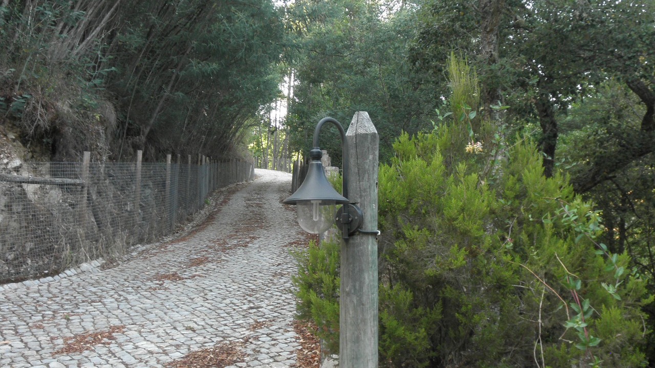 Photo of Outdoor in Figueiro dos Vinhos