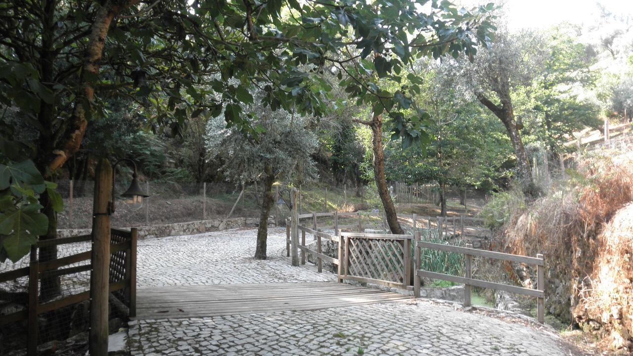 Photo of Outdoor in Figueiro dos Vinhos