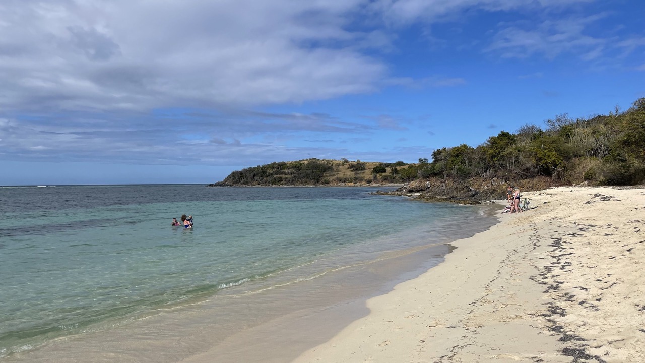 Photo of Others in Teagues Bay