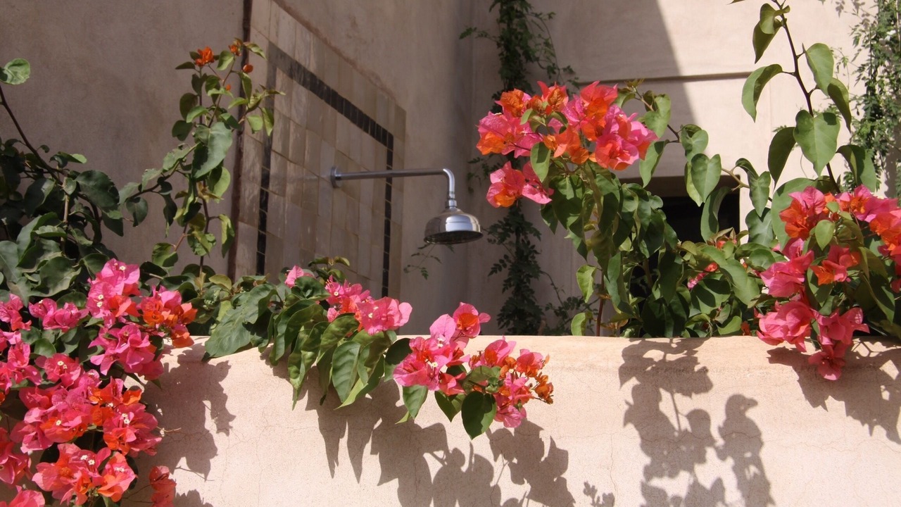 Photo of Outdoor in Sidi Abdallah Ghiat