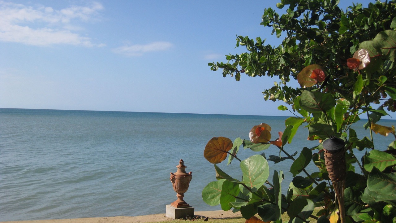 Photo of Outdoor in Barrero