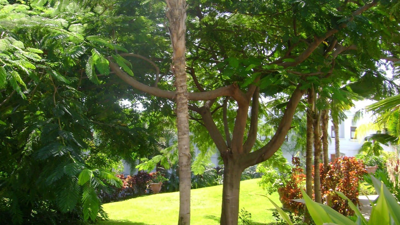 Photo of Others in Barrero