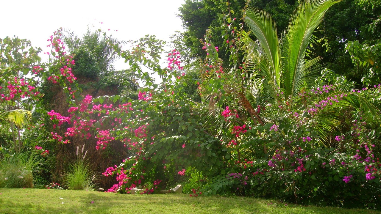 Photo of Outdoor in Barrero
