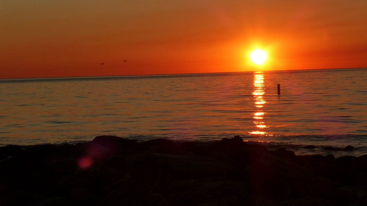 Photo of Others in Sarasota