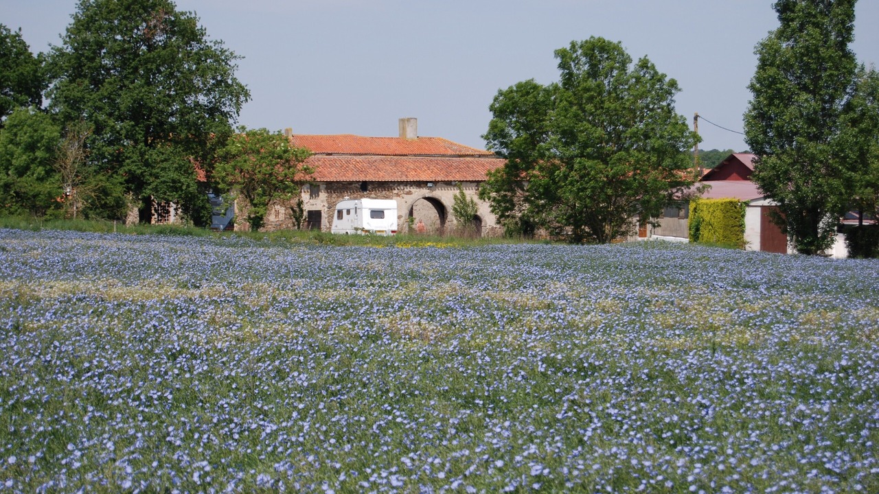 Photo of Others in Monsireigne