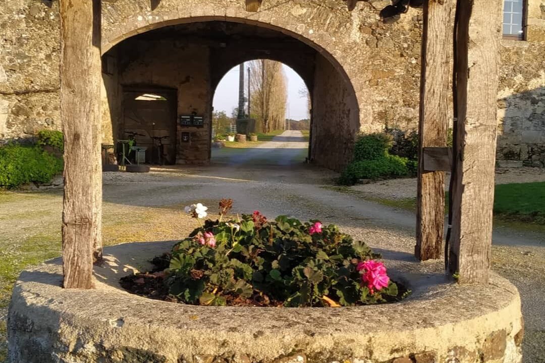 Photo of Outdoor in Monsireigne