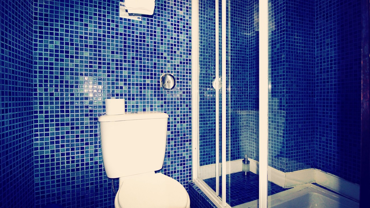 Photo of Bathroom in Braganca