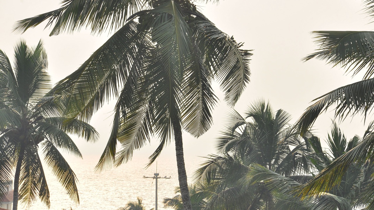 Photo of Others in Kovalam