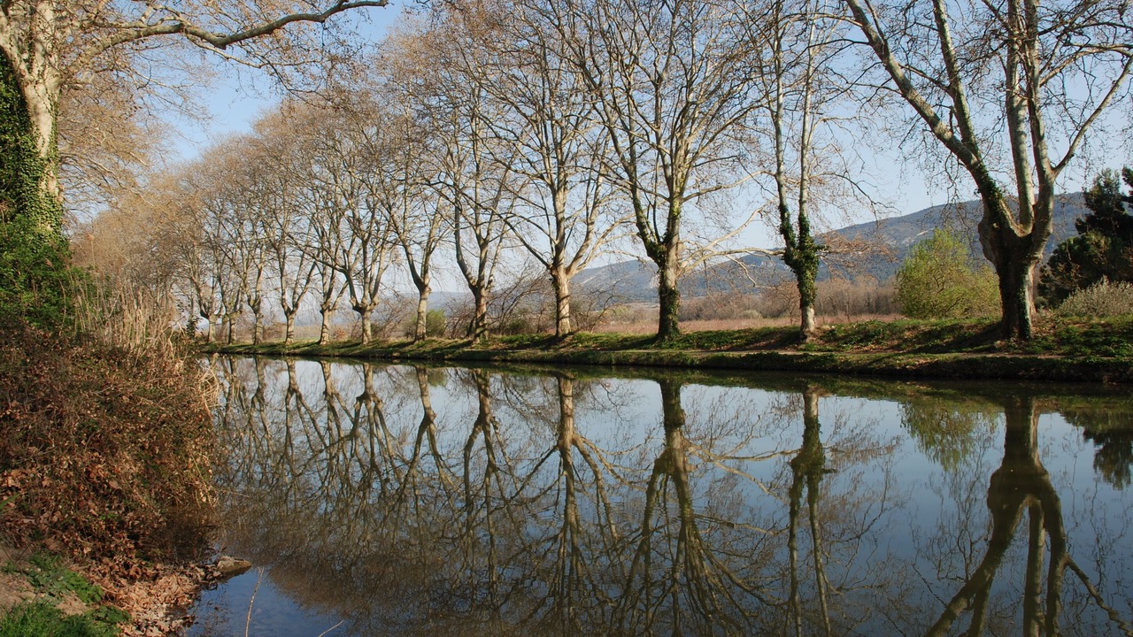 Photo of Outdoor in Bastide Saint-Louis