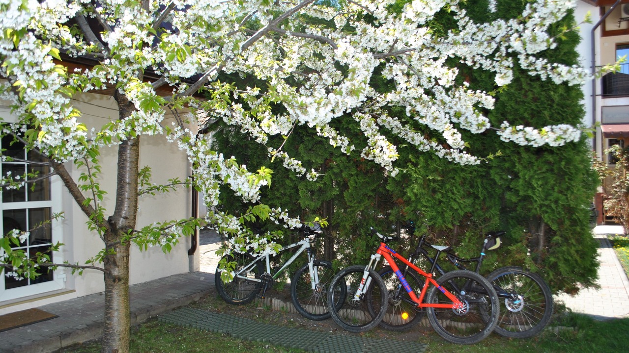 Photo of Outdoor in Bistrita