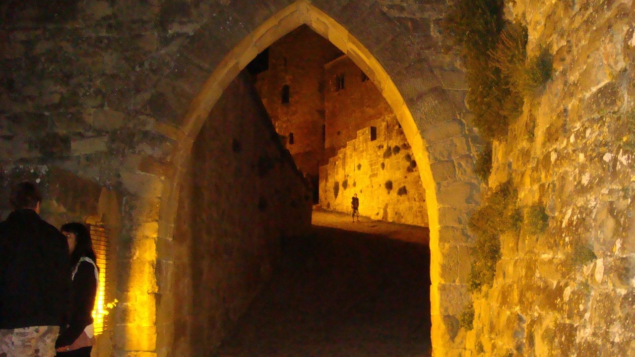 Photo of Others in Carcassonne