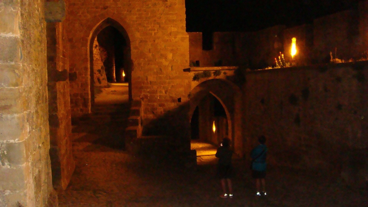 Photo of Others in Carcassonne