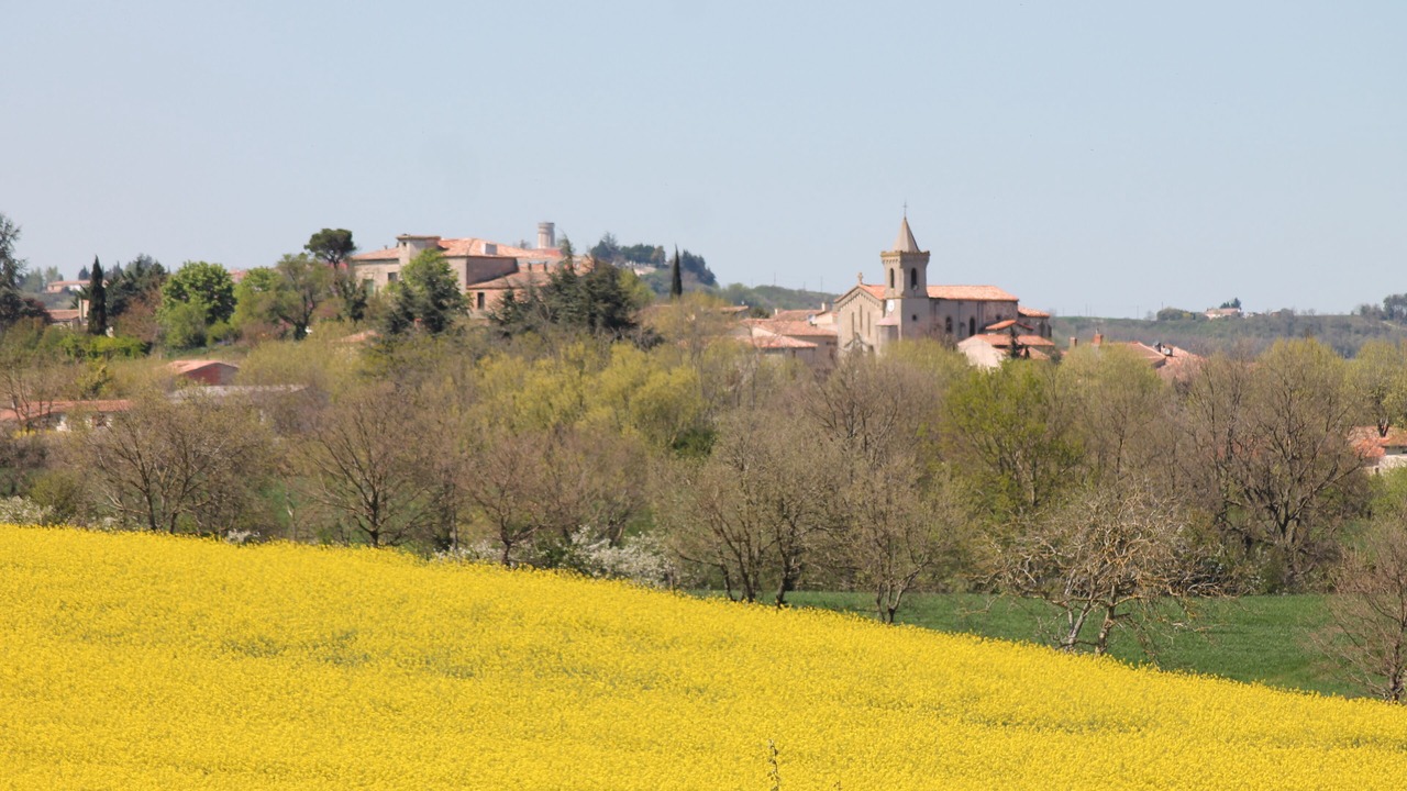 Photo of Others in Escueillens-et-Saint-Just-de-Belengard