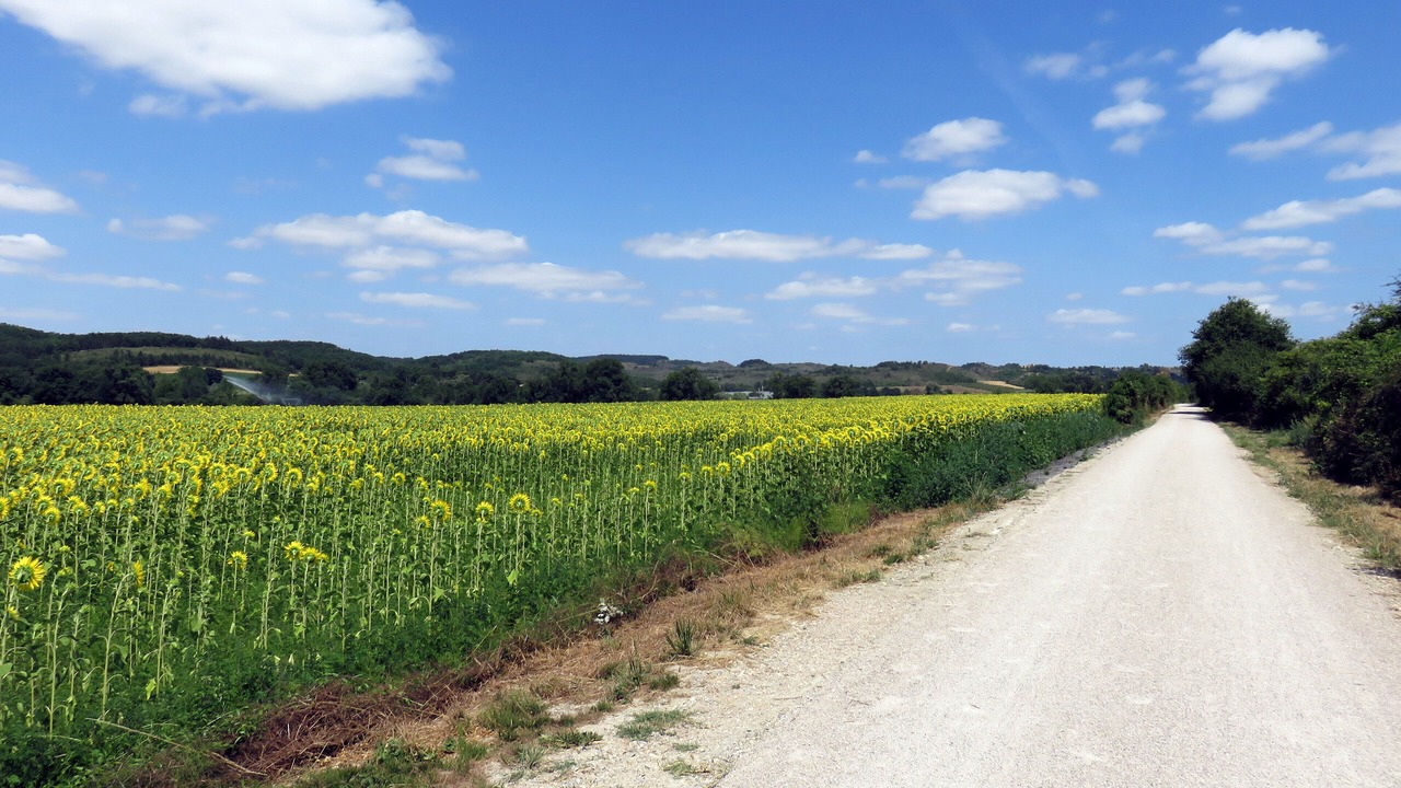 Photo of Outdoor in Escueillens-et-Saint-Just-de-Belengard