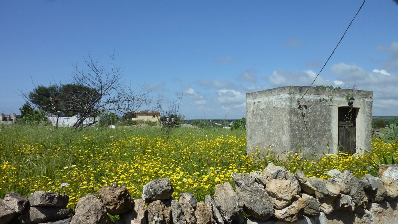 Photo of Outdoor in San Pietro in Bevagna