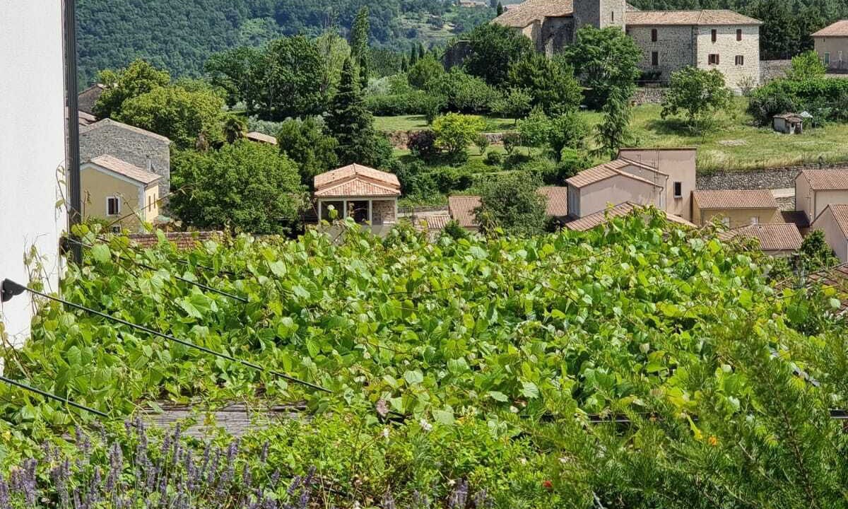 Photo of Outdoor in Saint-Julien-du-Serre