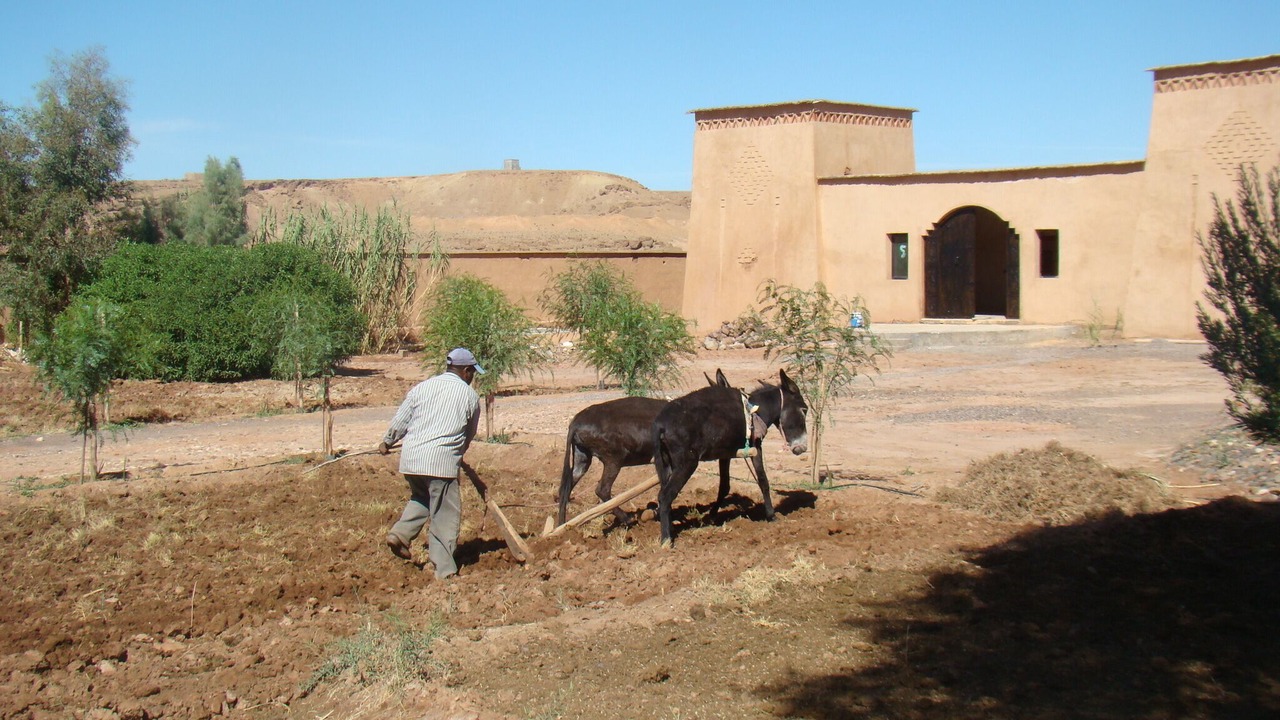 Photo of Others in Ouarzazate